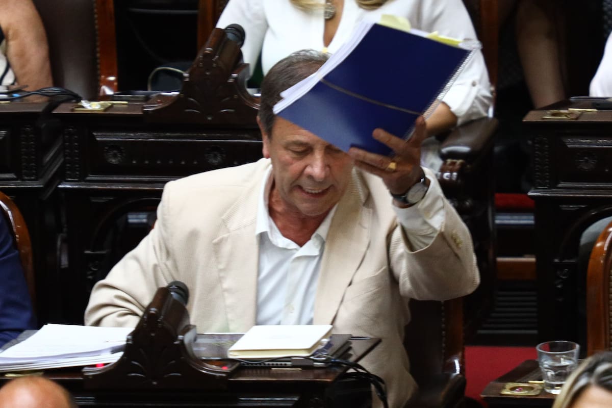 El diputado Oscar Zago, en la sesión de la ley ómnibus