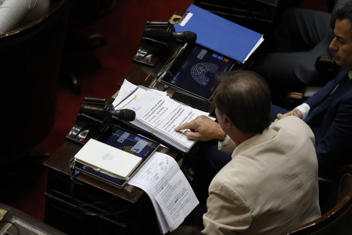 El diputado Oscar Zago, presidente del bloque de La Libertad Avanza en Diputados, mira el proyecto de la "Ley de Bases"