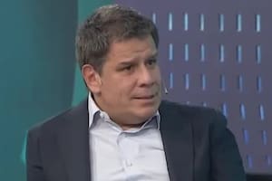 El diputado por la Unión Cívica Radical Facundo Manes en La Cornisa, por LN+