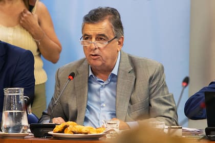 El diputado por la Unión Cívica Radical, Mario Negri.