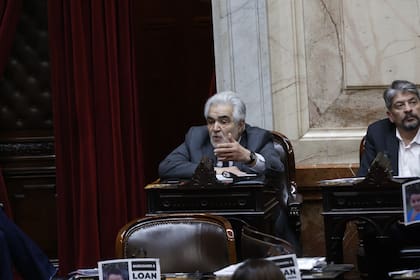 El diputado Sergio Acevedo durante el debate por la Ley Bases, en el Congreso de la Nación