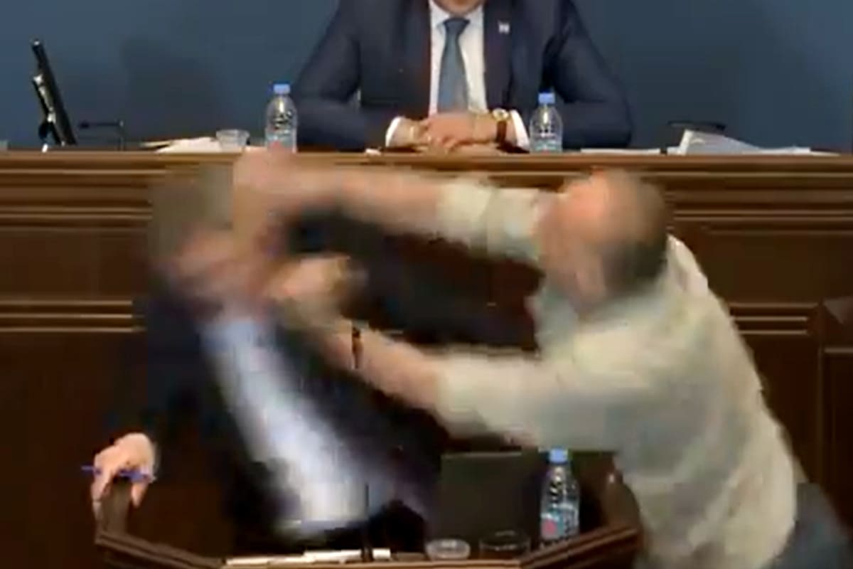 El diputado y líder del opositor Partido de los Ciudadanos de Georgia, Aleko Elisashvili, le propinó un golpe en la cara al líder del partido gubernamental Sueño Georgiano, Mamuka Mdinaradze