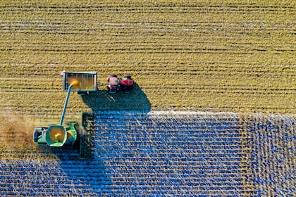 El directivo recuerda que en otros momentos los precios internacionales “tapaban un poco algunas situaciones”, pero con valores deprimidos en la agricultura esas debilidades quedan más expuestas
