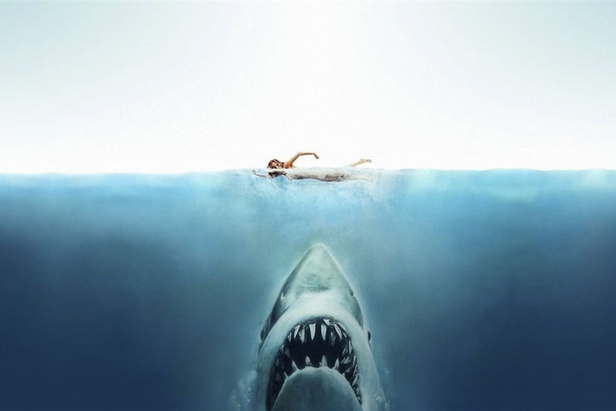 El director (de remera blanca) en medio del complicado rodaje en alta mar