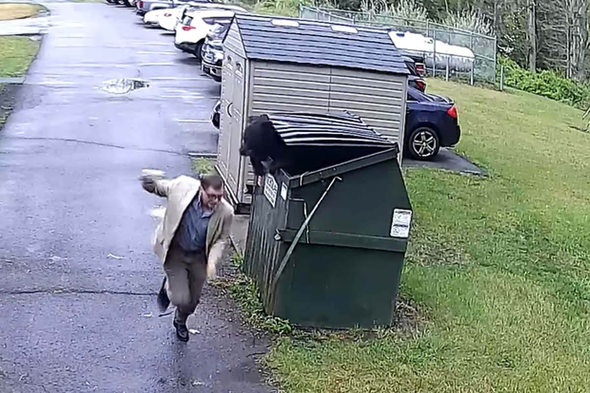 El director de una escuela abrió un tacho de basura y descubrió que en su interior había un oso