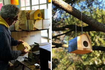 .El diseñador industrial en su taller y con su obra terminada y colgada de un árbol