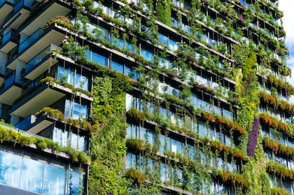 El diseño de jardines verticales es una tendencia sustentable que redefine el paisaje urbano