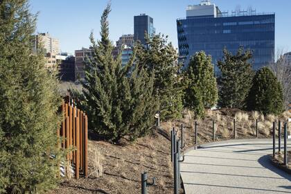 El diseño paisajístico incluyó plantaciones variadas para proporcionar un entorno cambiante en cada estación del año, con árboles y arbustos que fluyen, follaje otoñal y árboles de hoja perenne, como los de la foto.