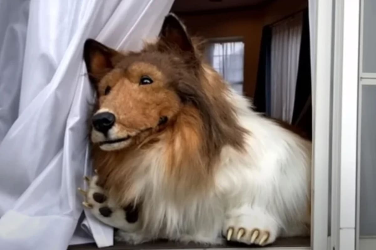 El disfraz fue creado por la empresa de efectos especiales Zeppet (Foto: YouTube Quiero ser un animal)