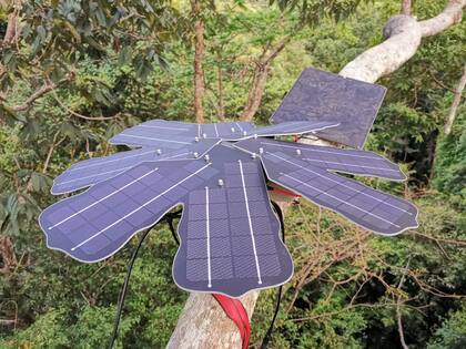 El dispositivo RFCx Guardian, desarrollado por el equipo de Rainforest Connection