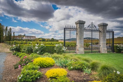 El distinguido portón de acceso a Domaine Carneros.