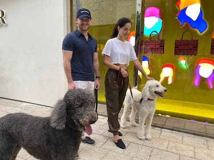 El distrito de marcas de lujo es dog friendly.