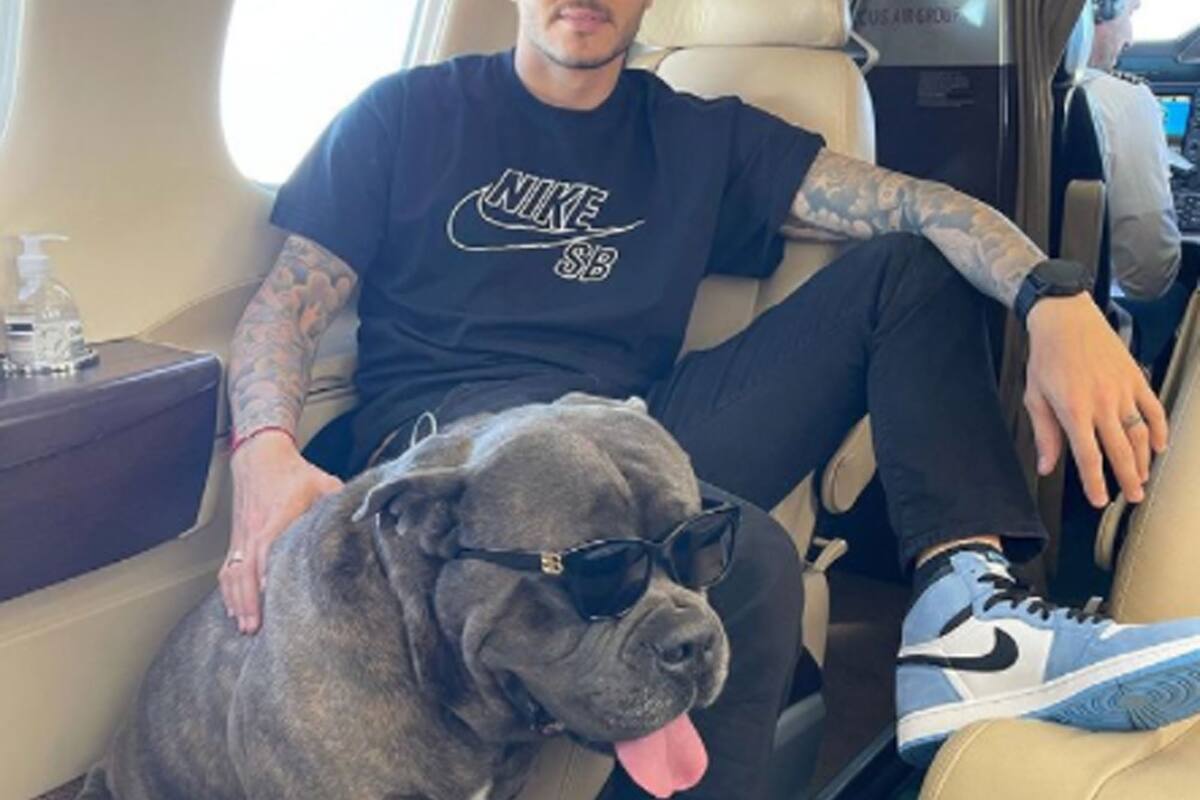 El divertido look de Tano, el perro de Icardi y Wanda Nara, en el comienzo de sus vacaciones