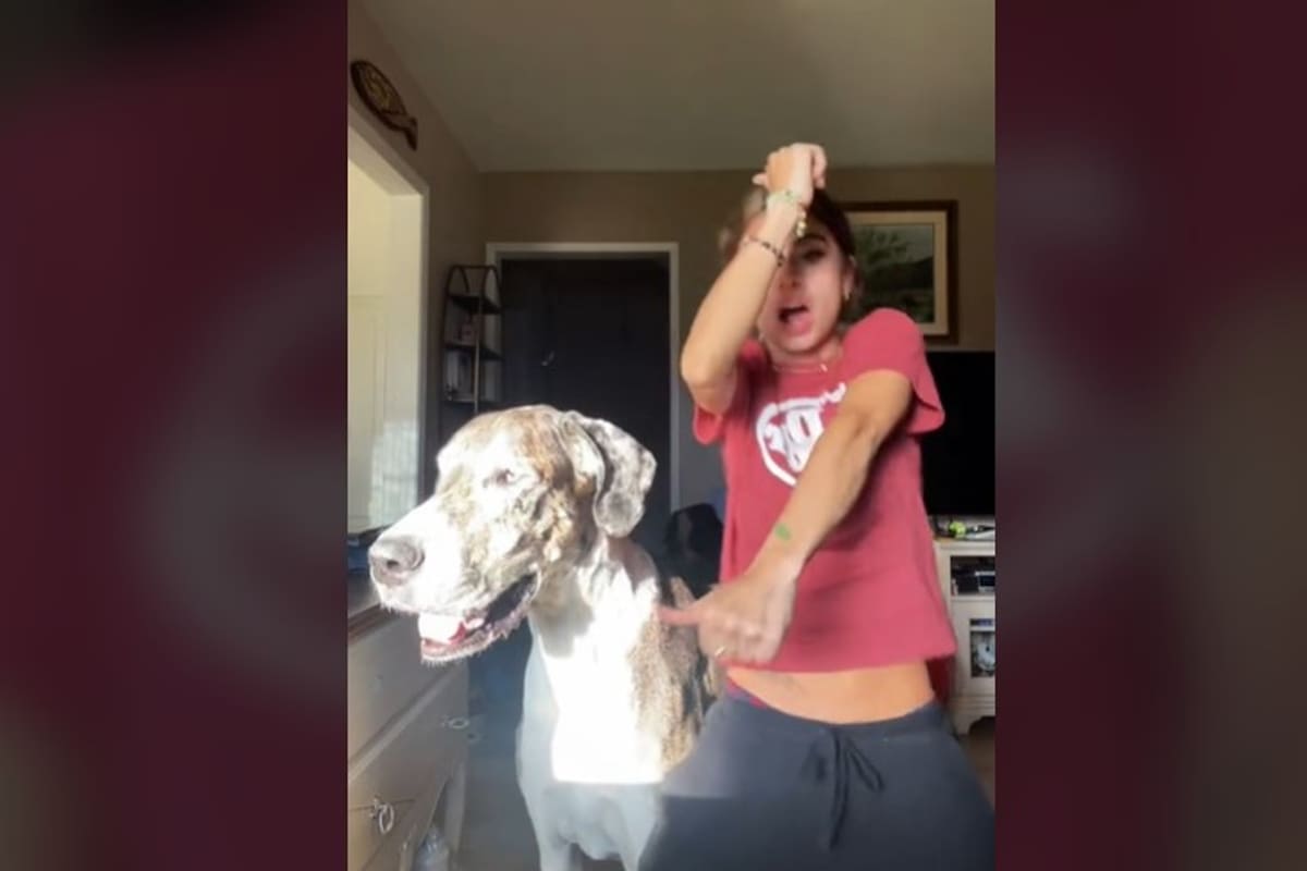 El divertido video se volvió viral en TikTok
