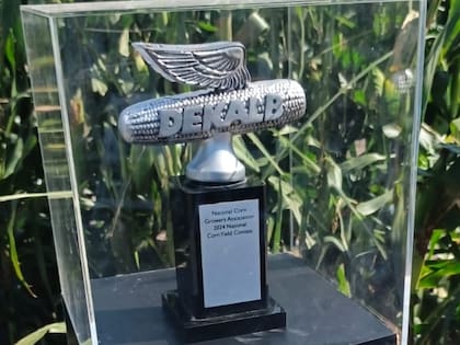 El DKC68-35 ganó en muchas competencias de rindes den EE.UU. y otros países