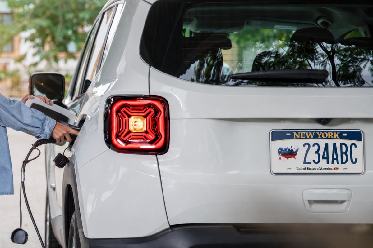 El DMV de Nueva York presentó la nueva placa América 250, que fue incorporada al catálogo estatal de matrículas personalizadas