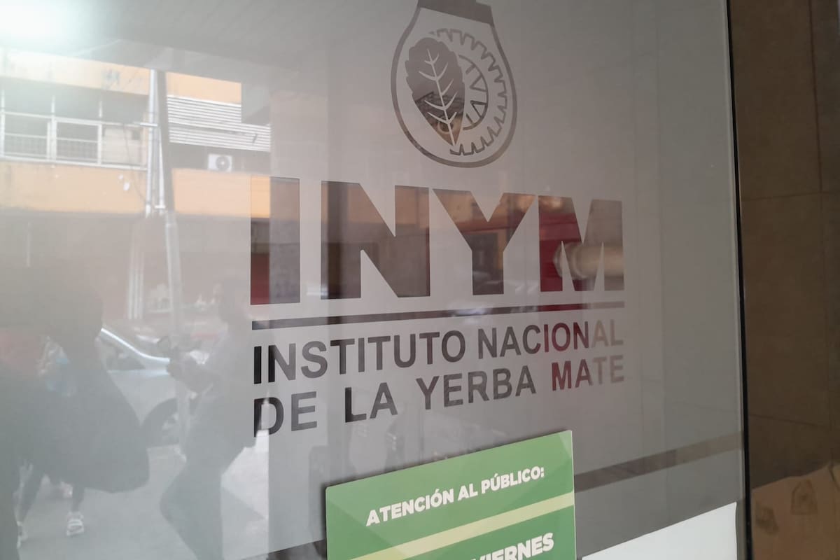 El DNU de Javier Milei impulsa la reforma del comercio de la yerba mate (Foto: Juan Gutiérrez).