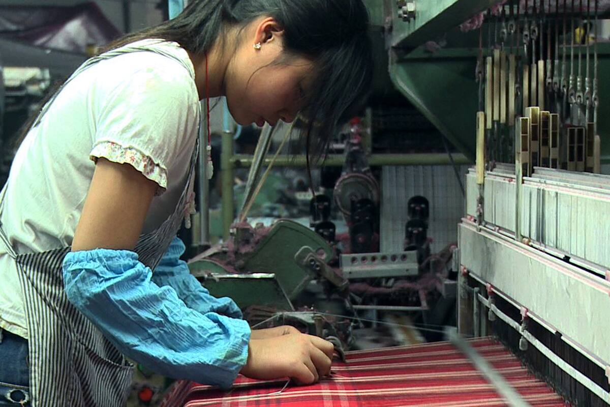 El documental Cotton Road, destacado en la agenda del Green Film Fest