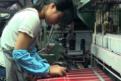 El documental Cotton Road, destacado en la agenda del Green Film Fest