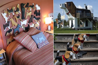 El Dog Park Inn está diseñado para los amantes de los perros incluso en el interior