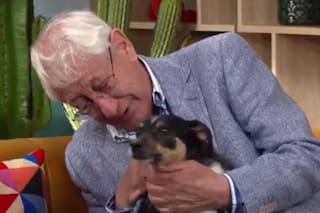Tiene 80 años, está enfermo y buscaba quién cuidara a su perro: "Yo ya no puedo"