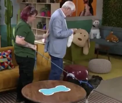 El dolor de César por no poder cuidar a su perro