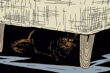 El dolor muchas veces es difícil de detectar en los gatos, porque su instinto de cazadores los lleva a sentir que enfermos son presa fácil para otros animales.