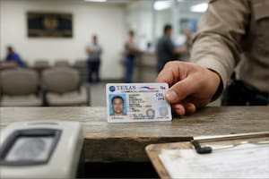 Texas vuelve a emitir licencias comerciales para ciertos extranjeros: el único estatus autorizado por ahora