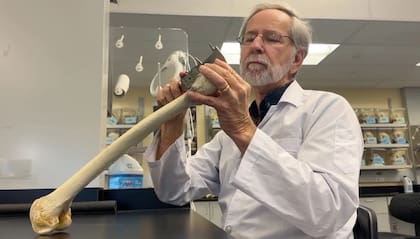 El Dr. Robert Mann, un destacado antropólogo forense, fue convocado a Maui para ayudar con la identificación de víctimas de los incendios forestales