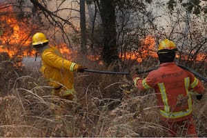 El drama de los incendios en Córdoba