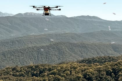 El drone de Reforest puede recorrer hasta 27 kilómetros para sembrar semillas. Créditos: Reforest-Latam.