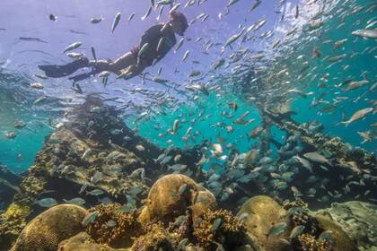 El Dry Tortugas es apto para hacer snórquel y buceo