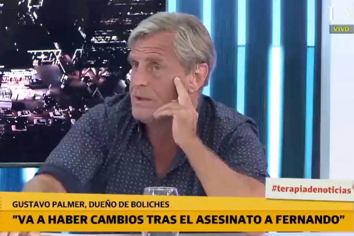 El dueño de boliches, Gustavo Palmer, cree que el crimen de Fernando Baéz Sosa "va a traer cambios"