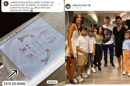 El dulce regalo de Alma, la hija de Alejandro Sanz, a Camilo