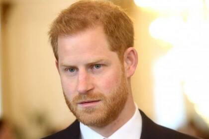 El duque de Sussex dijo que los videojuegos no aportan ningún "beneficio" al hogar