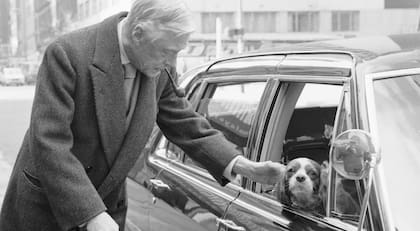 El duque de Windsor, tío abuelo del rey Carlos III y uno de sus predecesores en el trono británico, saluda a un Cavalier King Charles Spaniel. (1969 Getty Images)