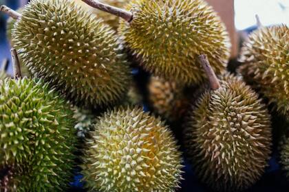 El durian o Durio zibethinus se consume por su destacado sabor, pero su olor apesta (Foto Pexels)