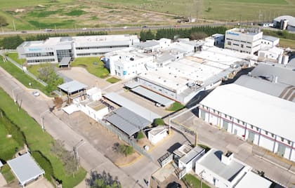 El Ebitda ajustado se ubicó en $29.094 millones en el ejercicio 2026, un 65,2% por encima de los $17.610 millones de 2025