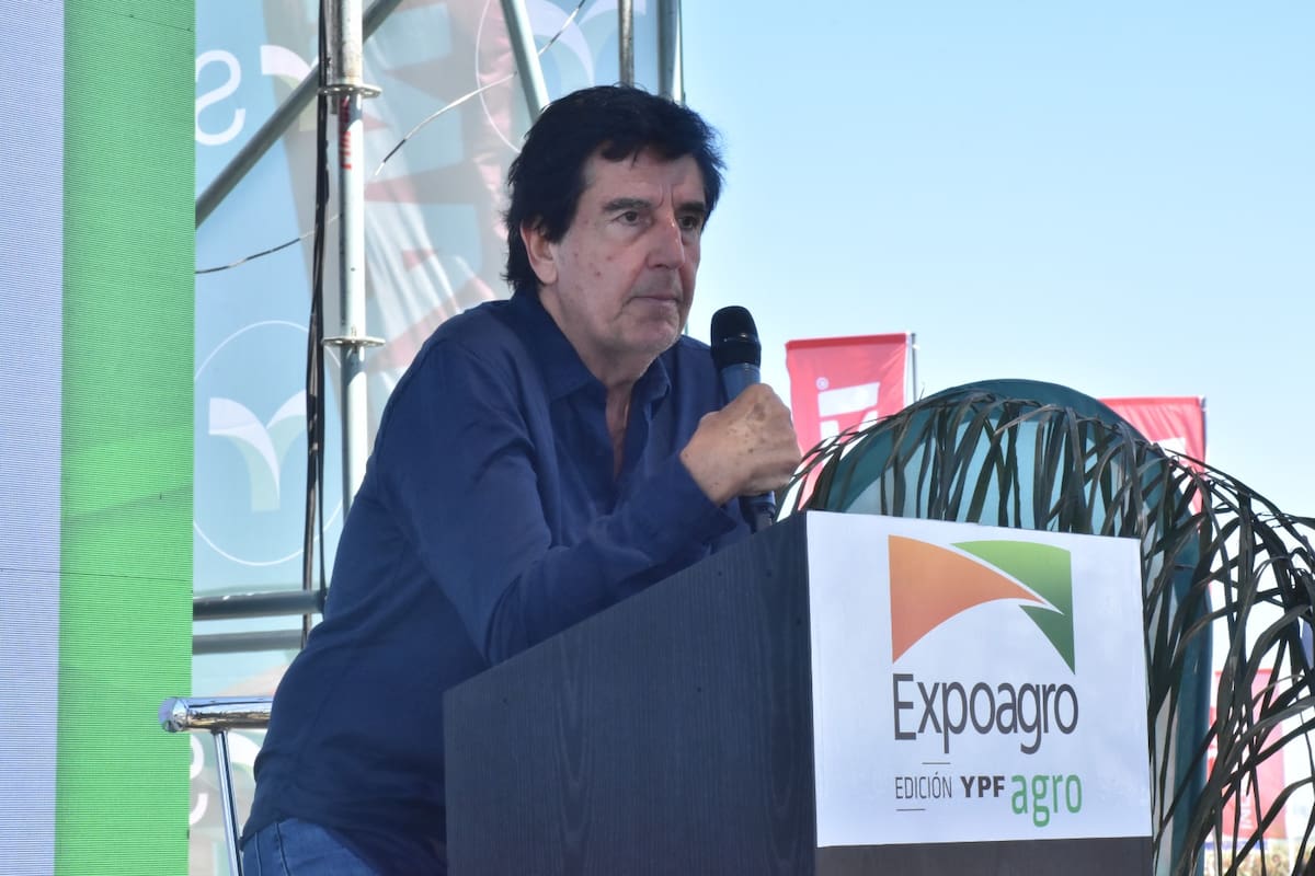 El economista Carlos Melconian