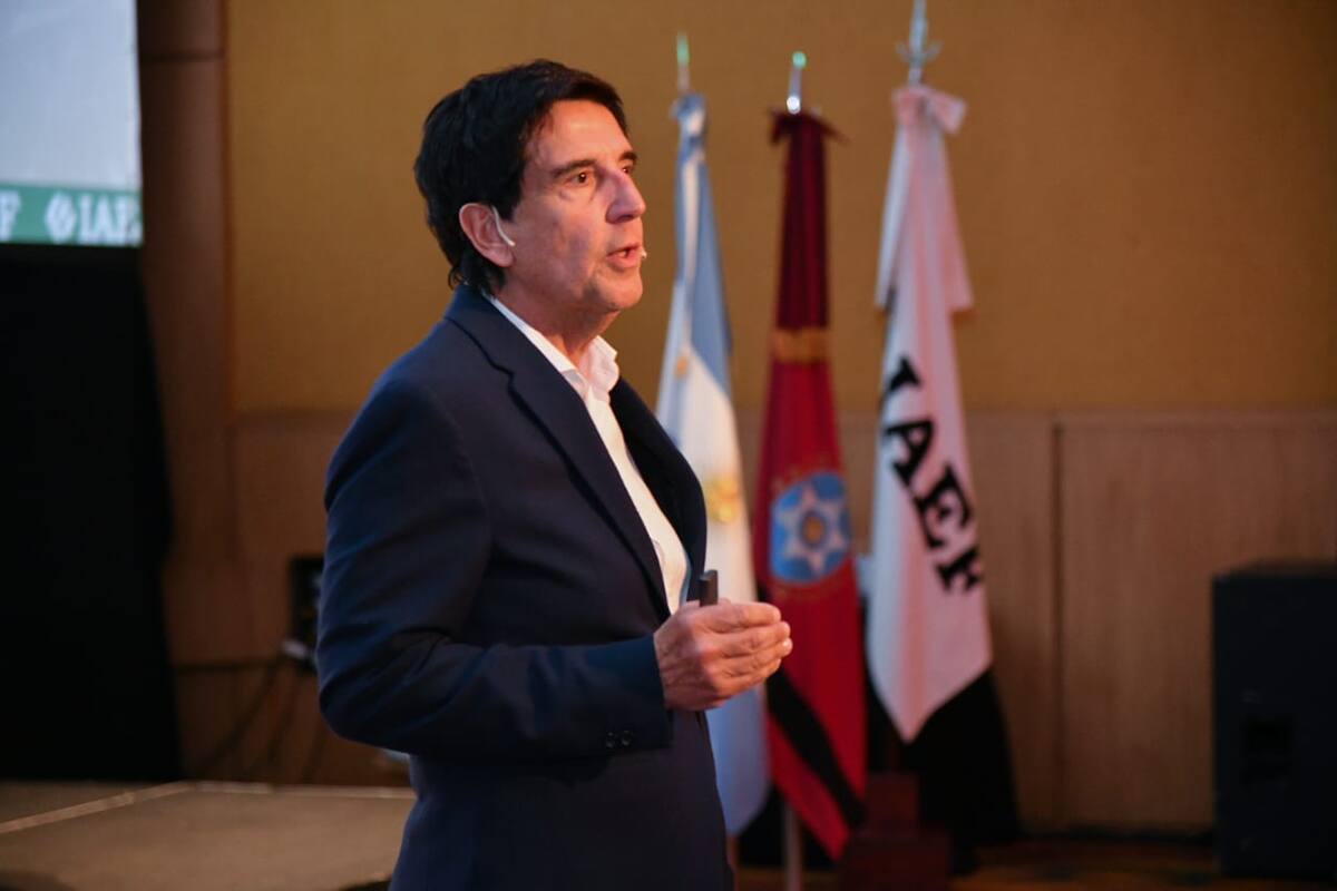 El economista Carlos Melconian en el IAEF