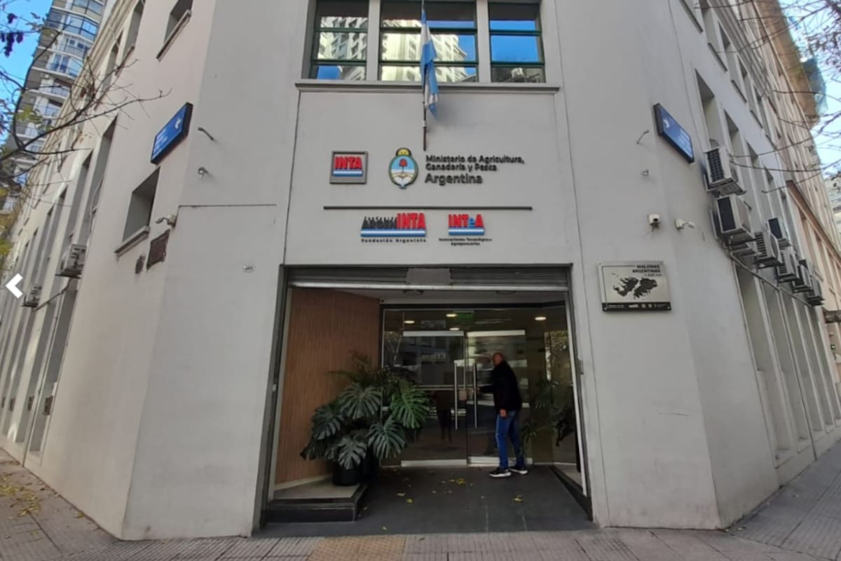 El edificio envuelto en la polémica está ubicado en la calle Cerviño 3101/67 en el barrio porteño de Palermo