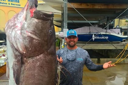 El ejemplar tiene casi 160 años y fue pescado a unos 180 metros de profundidad