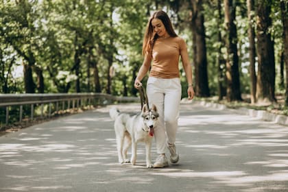 El ejercicio ayuda a captar la atención del perro desde el inicio (Foto: Freepik)