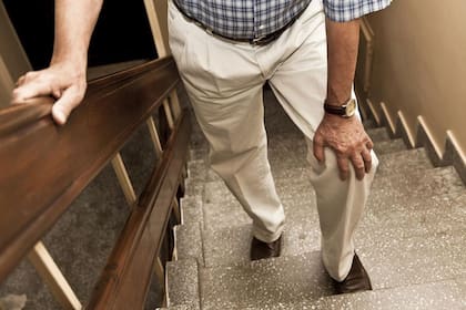 El ejercicio es fundamental en los adultos mayores, para que después no tengan problemas de este tipo con las escaleras