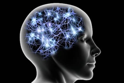 El ejercicio físico estimula los neurotransmisores que mejoran el ánimo, como son la serotonina, dopamina, noradrenalina, endorfinas y demás