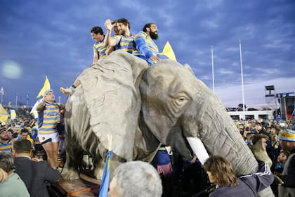El elefante, todo un símbolo de los títulos de Hindú