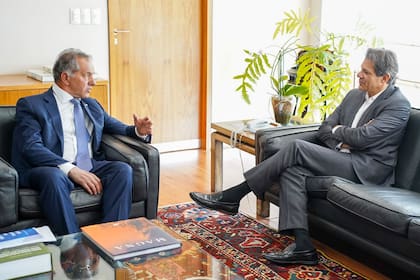 El embajador Daniel Scioli y el ministro de Economía de Brasil, Fernando Haddad, en su reciente encuentro en Brasilia