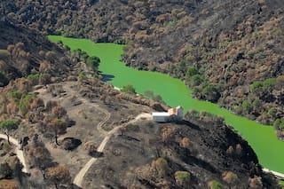 Casas sin gente, gente sin casa: las causas detrás de los incendios y las lecciones para la Patagonia