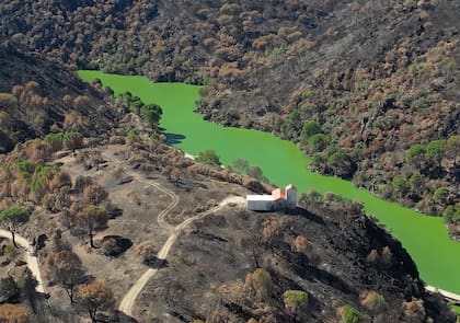 El embalse, verde