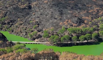 El Embalse San Juan, a 40 minutos de Madrid